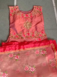 Beautiful Embroidered Lehenga Choli Set