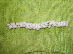 White Crochet Flower Gajra