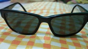 Jaguar Sunglass Mod 37150