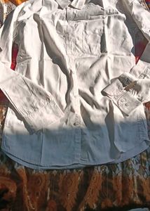 shirt size 40