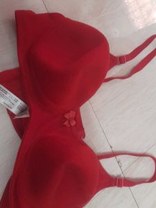 clovia bra
