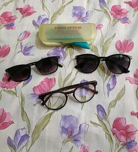 Eyeglasses and Sunglasses Bundle