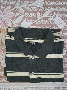 Zudio Striped Polo T-Shirt