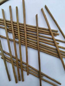Rolled Coconut Leaves- Straws Eco-friendly
