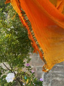 Orange Dupatta with Golden Border