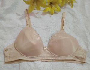 Very Beautiful Embroidery Bra