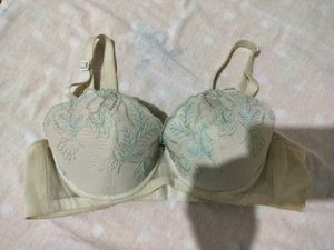 Elegant Embroidered Bra
