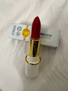 Makeup Bundle