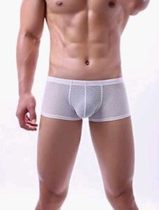 Men's White see through  briefs
