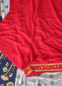 Beautiful Red Sequined Saree