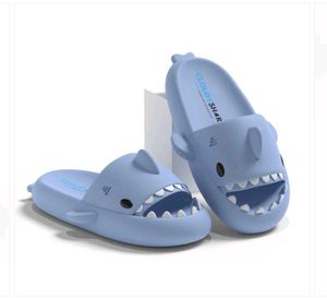 Cute Cloudy Shark Slides