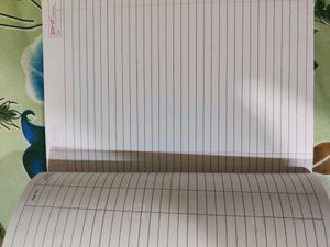 Doms New Ruling notebook