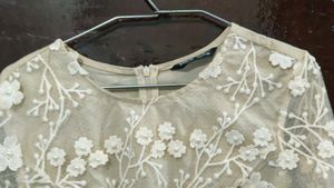 Elegant Floral Applique Ethnic Gown