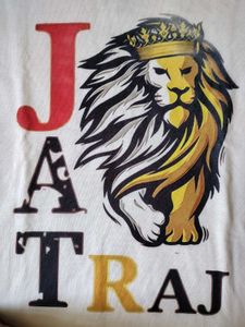 Stylish Lion Graphic T-Shirt Boy/Girl Kids