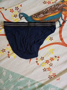 Force And FASO Briefs