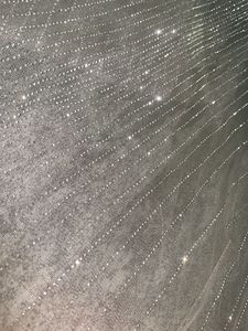 Sparkly Embellished Dupatta