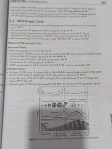 NCERT Biology Simplified Class 12
