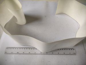 Shoe SOLE Protector For Costly Sneakers
