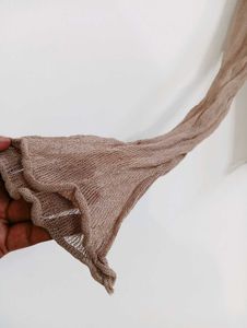 Sheer Mesh Long Sleeve Top