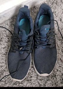 Blue & Black Sneakers