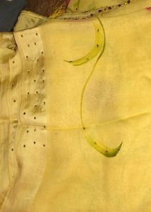 Beautiful Yellow Floral Saree