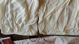 Pair of Fancy Cushion Covers