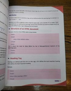 Live Wire Interactive Computer Science Book 7th
