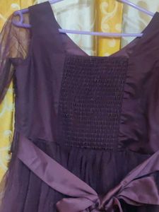 Elegant Plum Net Gown