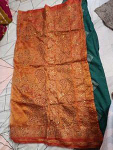 Orange Embellished saree