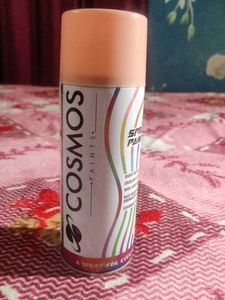 Spray Paint Bottle