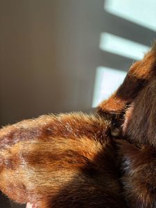 Vintage Genuine Fox Fur Coat