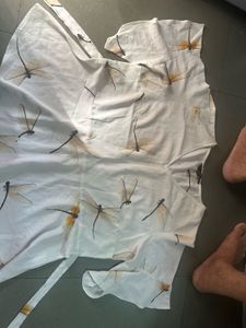 Zink London Dragonfly Print Top