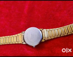 Elegant Gold Titan Watch