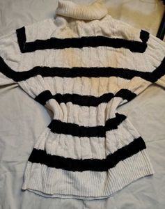 Striped Turtleneck Sweater