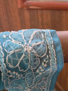 Beautiful Blue Chikankari Kurta