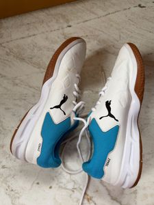 Puma Tenaz Indoor Badminton/Gym Shoes (UK 7)