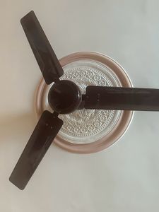 Havells And Orient Fan
