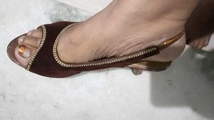 Elegant Brown Heels