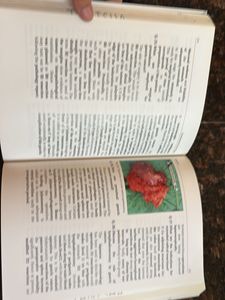 Clinical Surgery Textbook