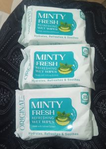 Minty Fresh Refreshing Wet Wipes