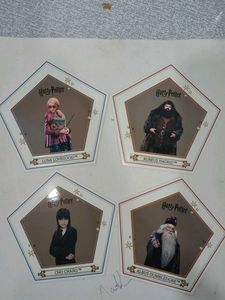 Harry Potter Chocolate Frog Cards