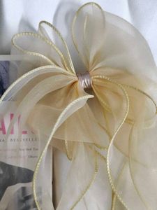 Elegant Sheer Bow Hair Accessory