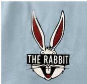 Cute The Rabbit V-Neck T-Shirt