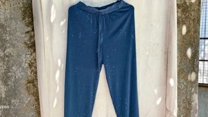 2299. Blue mesh sparkly pant