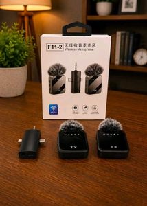 dual Wireless Microphone System free delivery