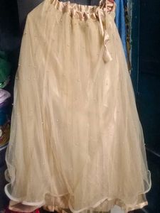 Elegant Embellished Lehenga Choli