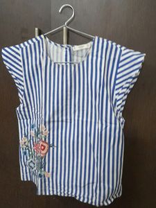 Blue Stripe Top