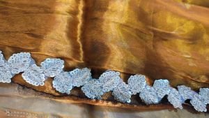 Orange Saree with Intricate Lace Border