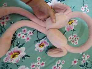Cute Pink Fuzzy Bunny Earmuffs 🩷🌷
