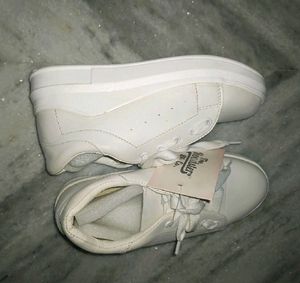 ❤️Roadsters New With Tag &amp; Box Pure White Shoes